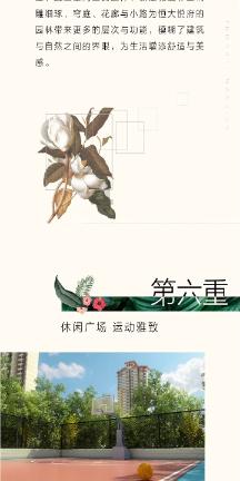 平衡宇宙